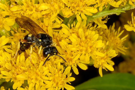 In de bloemetjes