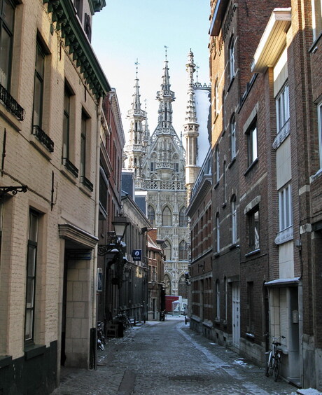 Leuven in de winter