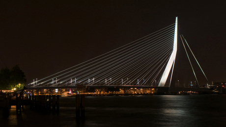 Erasmusbrug by night