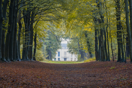 Huis Nijenburg te Heiloo