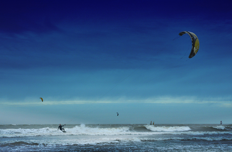 Kites in Hoek van Holland