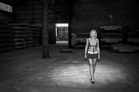 A walk in the factory of Een wandeling in de fabriek (op vraag van pjhtheunissen)