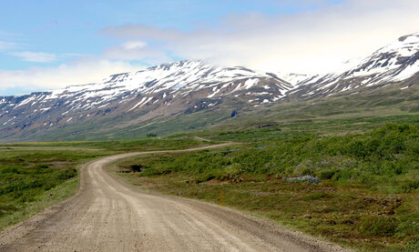 Ijsland - Land of Ice and Fire