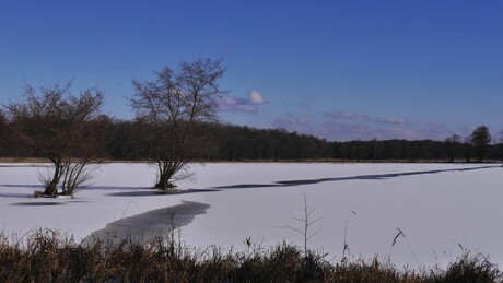 Winterlandschap