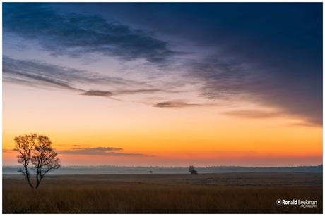 Ginkelse Heide in de winter 