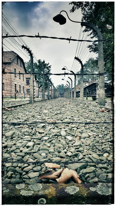 Auschwitz - Uitzicht-loos