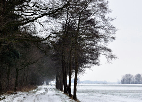winter in hardenberg