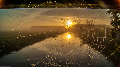 Spiderweb sunrise
