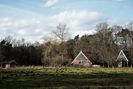 MOLLENRIJK