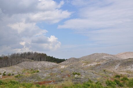 Duinen bij Schoorl