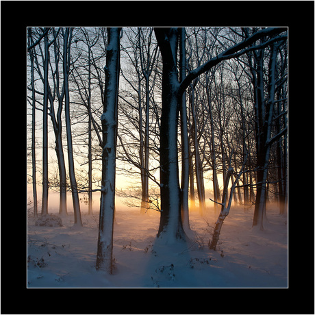 Landschap te Esbeek NBr