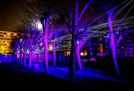 2013 Amsterdam Light Festival-5.jpg