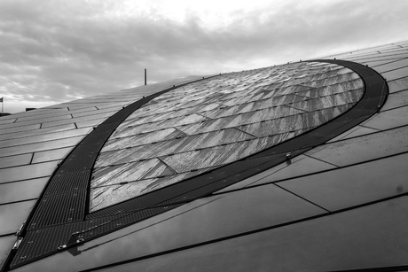 Dak van station Arnhem.