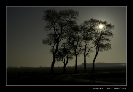 ochtend plaatje in vrije veld