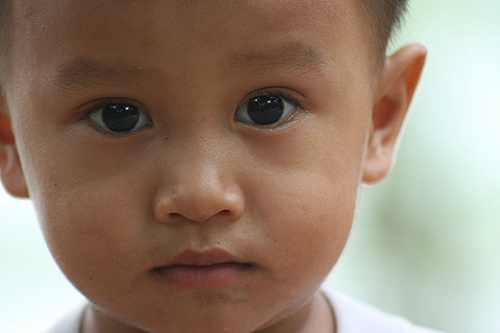 Mekongdelta, Vietnam