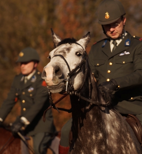 kom ik ook op de foto?