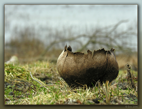 Natuurlijke Drinkbeker