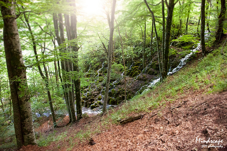 Plitvice National Park