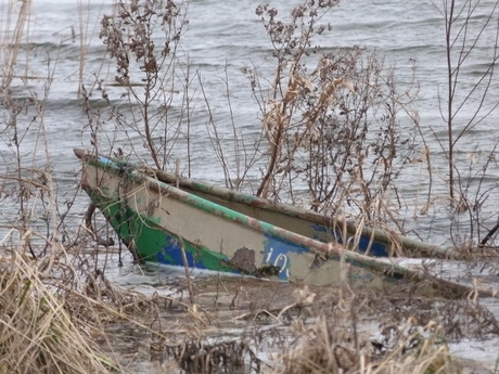 Bootje in de Ijssel