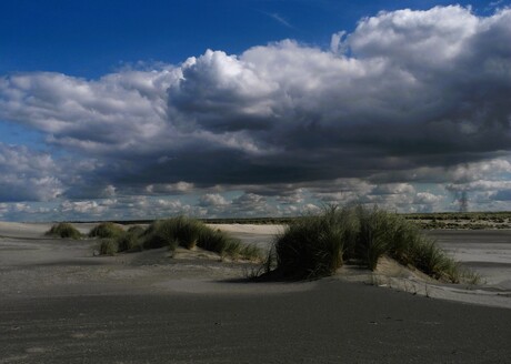 Lichtval over het Duin