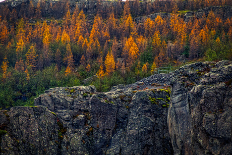 Plateau in de herfst