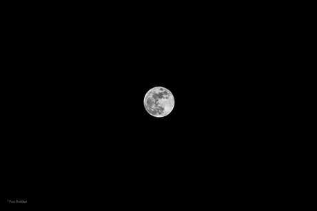 Volle Maan