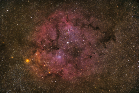 IC1396 met de Olifantenslurfnevel