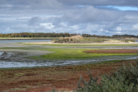 Kleurtjes in de Schelphoek