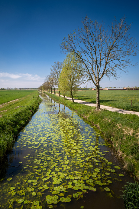 Gracht
