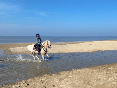 Ze hebben er samen veel plezier in.