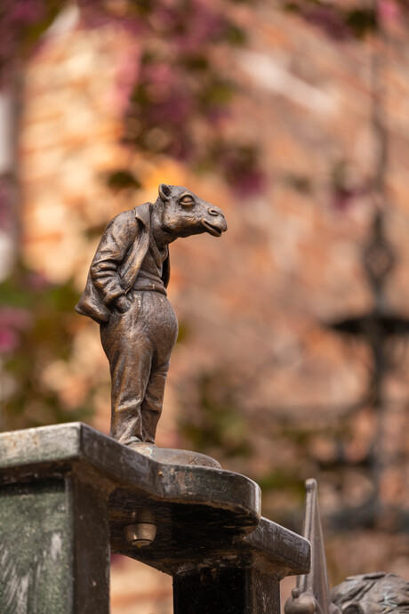 Köpke in de Floddergats 