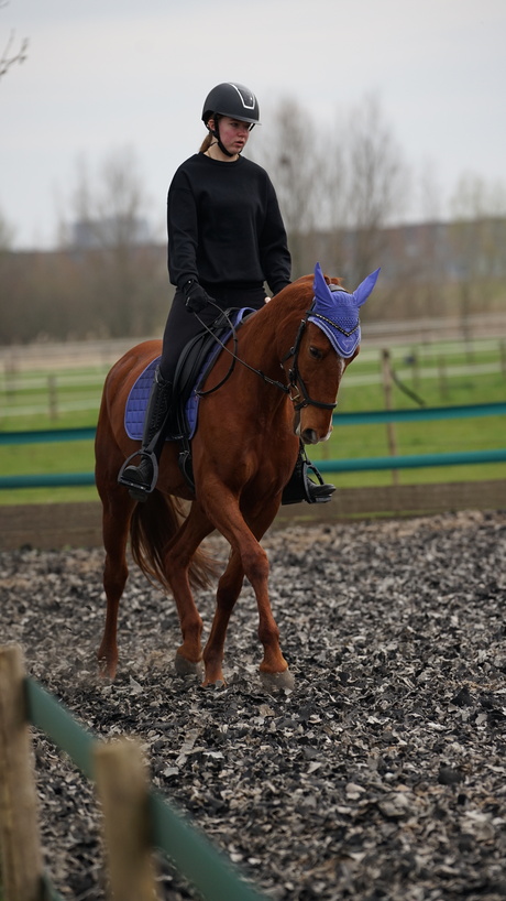 lenstest |Sigma 70-200 | F2.8