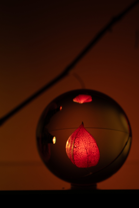 Glazenbol 2 Creatieve workshops