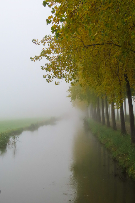 Mist in Nederland 