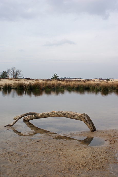 duinen