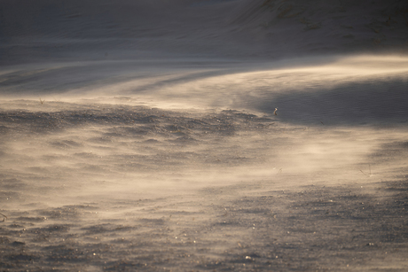 Stuifzand Ameland