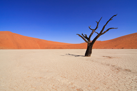 Namibie - Deadvlei