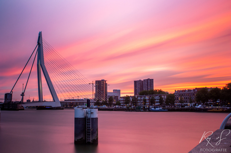 Erasmus Sunset Rotterdam