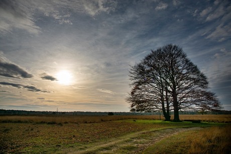 Kampina