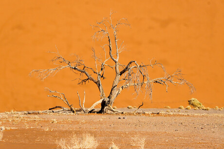 Sossusvlei