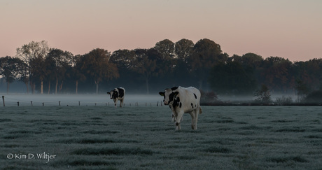 eerste vorst