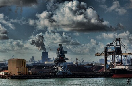 Maasvlakte