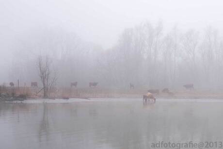 Landschap Hoeksewaard