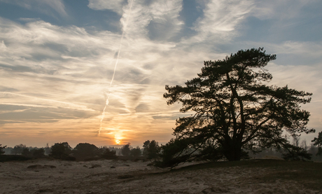 Aekingerzand- de Kale Duinen