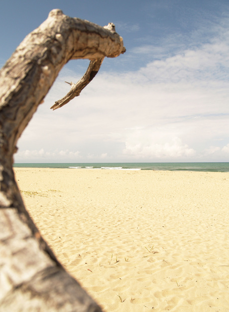 Takje op strand Brazilië