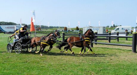 P1410416 Men wedstrijden Maasdijk nr5 vierspan 7aug 2016