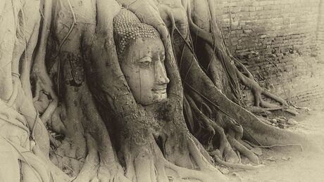 Wat Mahatat - Thailand