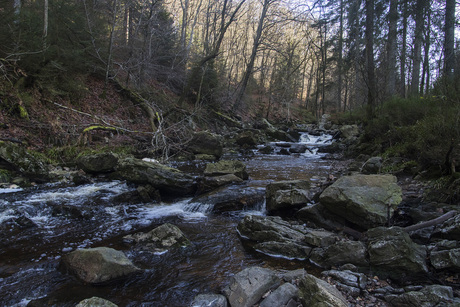 Herfst in Ardennen