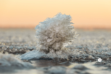 Frozen wadden art 