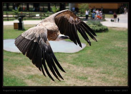 Vogelshow van Cabárceno